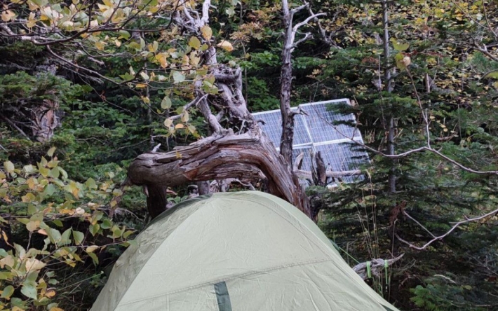 В России IT-шник месяц скрывается от мобилизации в лесу: живет в палатке и установил солнечные батареи