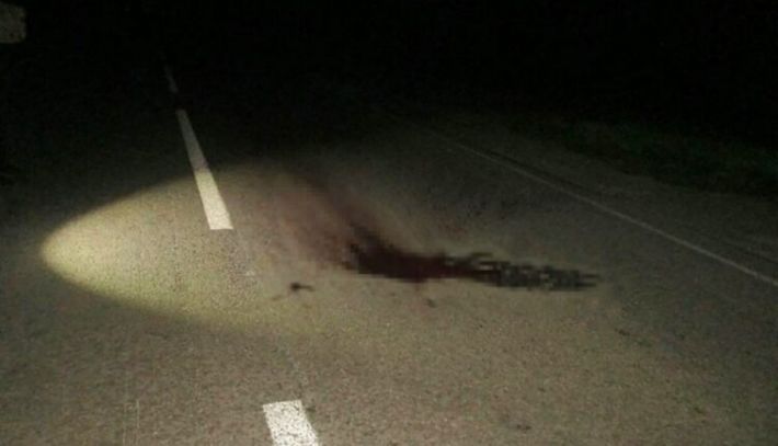 В Запорожской области водитель насмерть сбил пешехода и скрылся (фото)