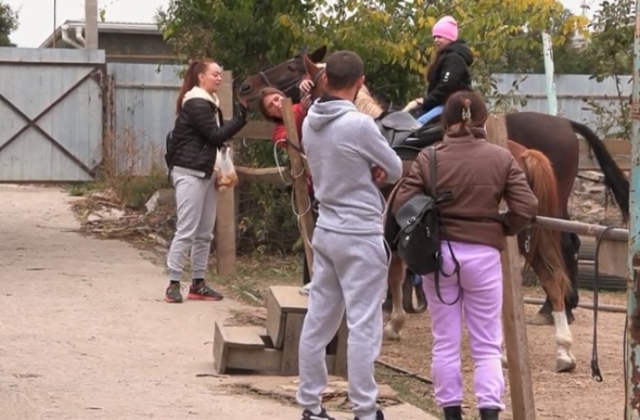 Как молодая семья вывозила из оккупированного Мелитополя лошадей (видео)