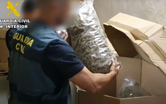 В Испании установили мировой рекорд по изъятию марихуаны: видео