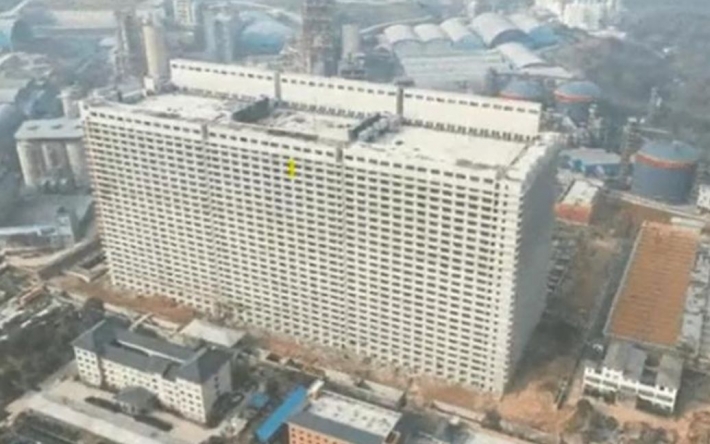 В Китае начали разводить свиней в 26-этажных небоскребах