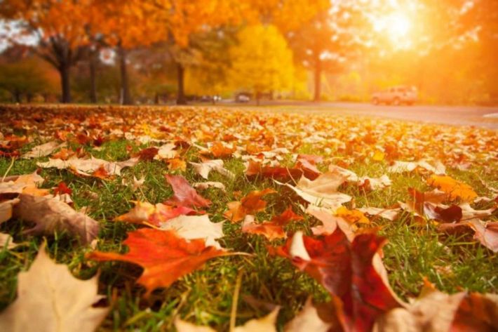 Прогноз погоди на вихідні 12–13 листопада: ловіть максимум листопадового комфорту