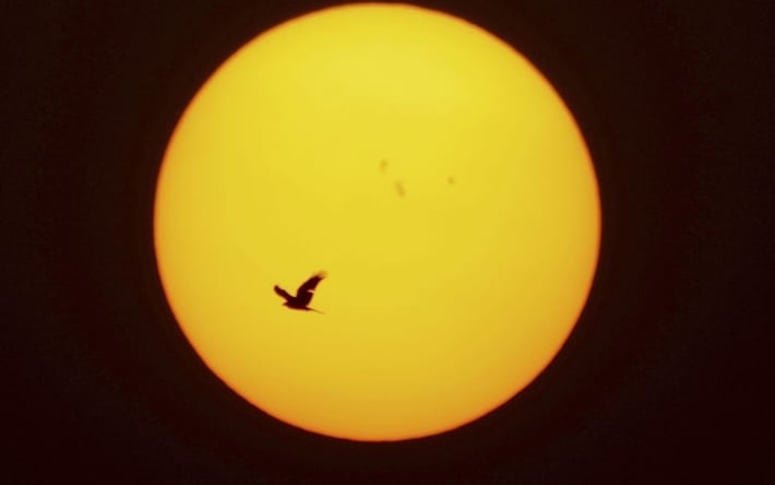 Космический аппарат зафиксировал на Солнце "змею", которая двигается с бешеной скоростью (видео)