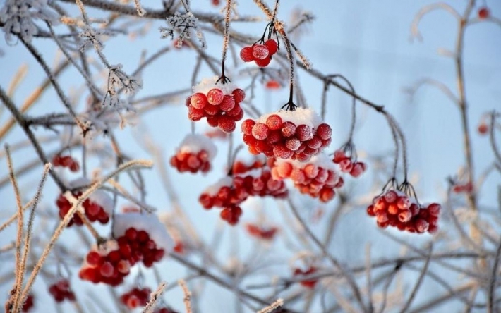 Зима отступит: какой будет погода в декабре и в новогодние праздники