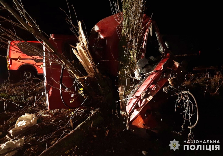 В Запорізькій області автомобіль наїхав па дерево, внаслідок цього померло двое чоловіків (фото)
