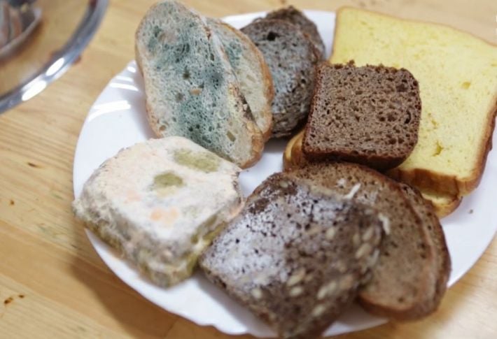 Як захистити хліб від цвілі без холодильника: топ-3 лайфхака
