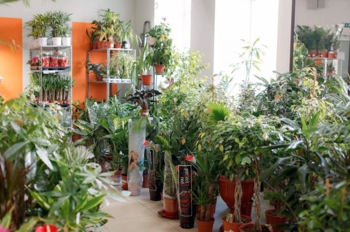 В Мелитополе рашисты "национализировали" известный цветочный магазин