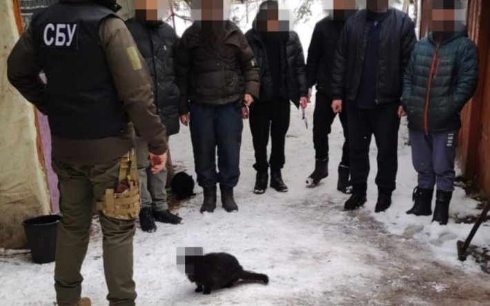 Має право на анонімність: українці з гумором відреагували на заблюреного котика з фото обшуків УПЦ (МП)