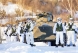 Зима лучшее время для освобождения Мелитополя - военные эксперты (видео)