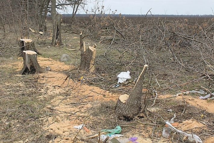 Оккупанты уничтожают посадки в Мелитополе