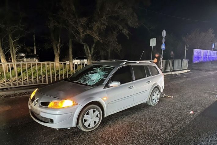 У Запоріжжі автомобіль на смерть збив жінку - поліція шукає свідків (фото)