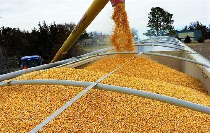 Оккупанты продолжают вывозить зерно из Запорожской области (фото)