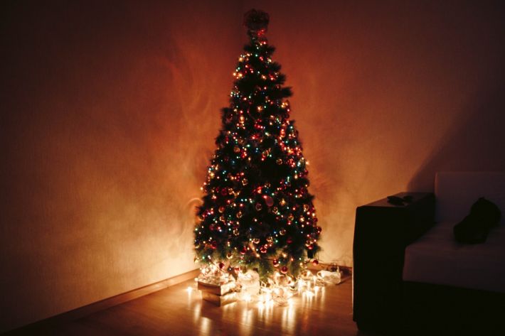 Как продлить жизнь новогодней елке: простой лайфхак