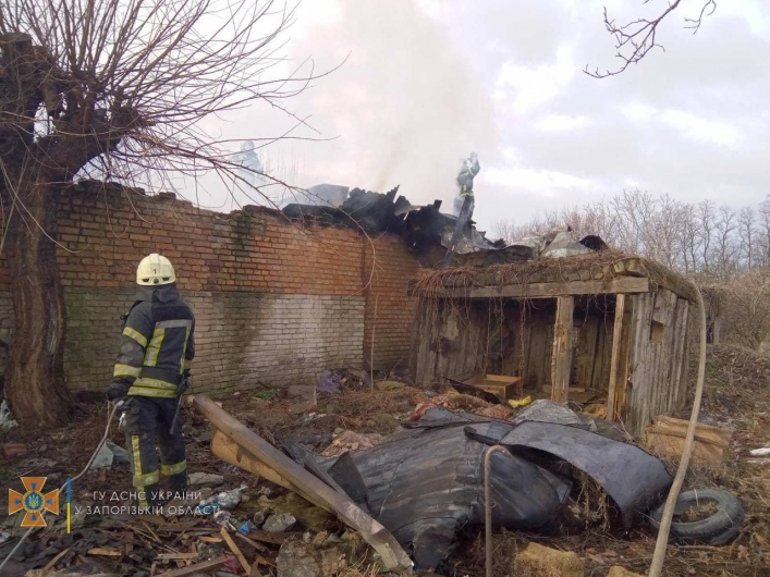 В Запорожской области при пожаре едва не взорвались газовые баллоны