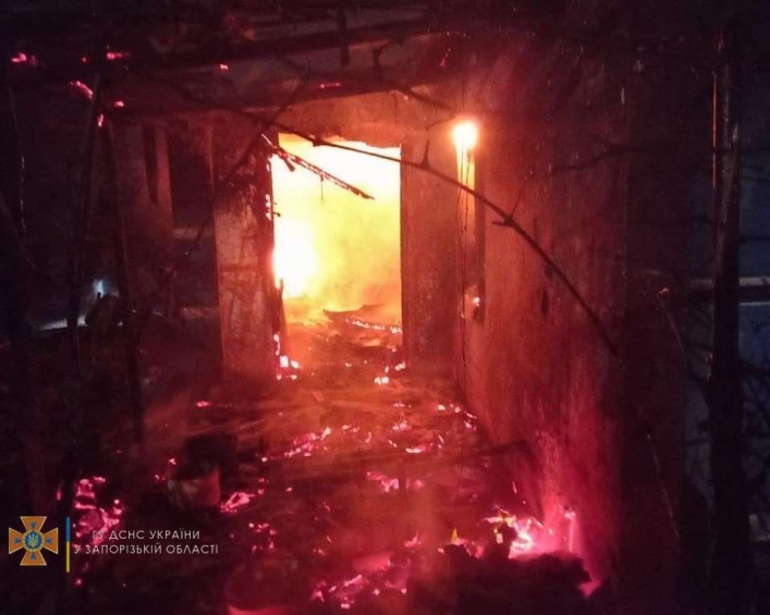 В Мелитопольском районе во время пожара погибла пожилая женщина (фото)