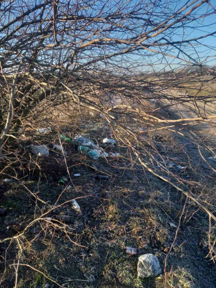 В Мелитопольском районе село завалили мусором (фото)
