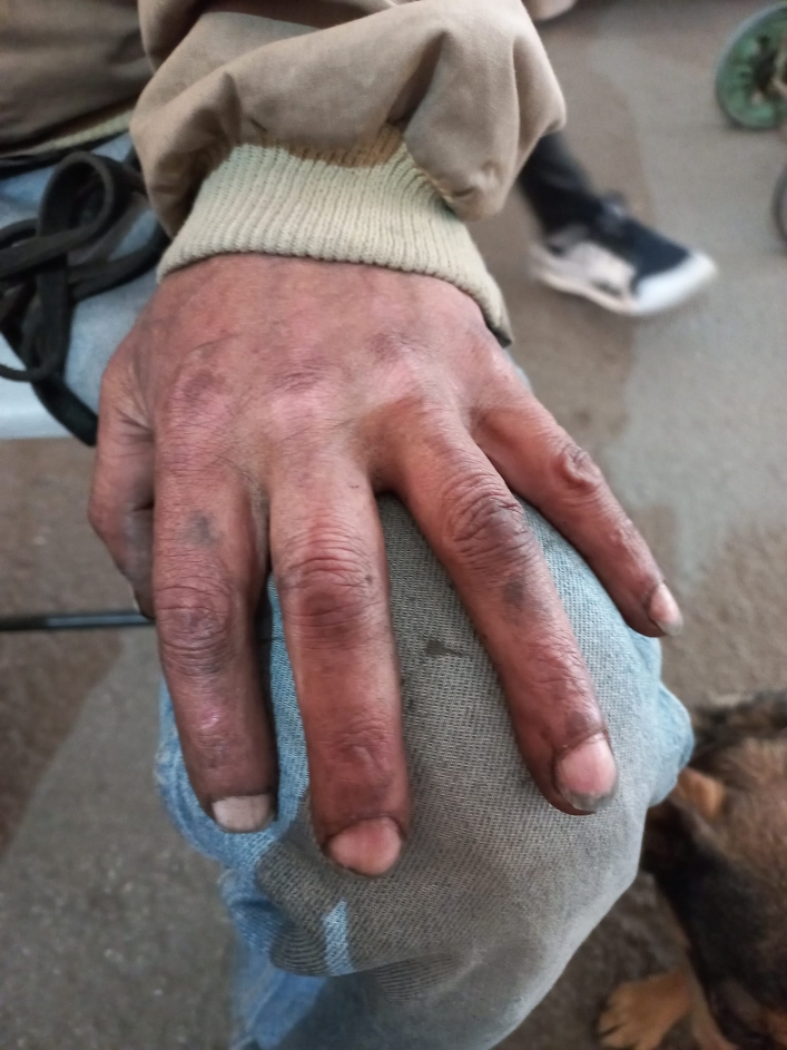 На пару с собакой: житель блокадного Мариуполя пять суток шел в Запорожье 1