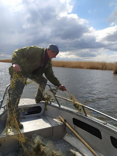 В Запорожской области браконьеры выловили рыбы на 1,5 миллиона гривен 1