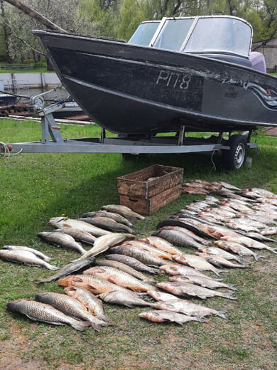 В Запорожской области браконьеры выловили рыбы на 1,5 миллиона гривен 2