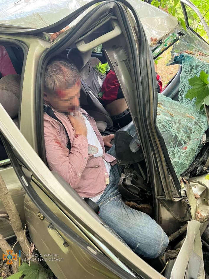 ДТП в Запорожье: двоих мужчин зажало в автомобиле после столкновения с деревом 3