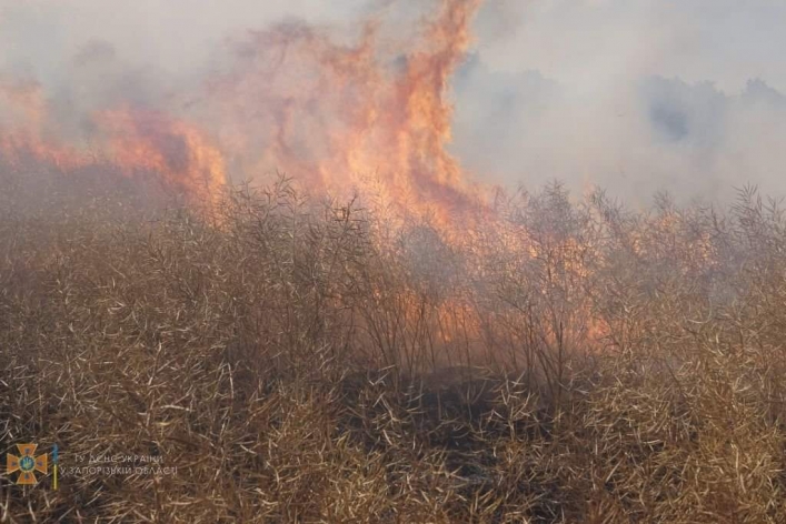 В Запорожской области спасатели и фермера пять часов тушили пожар 3