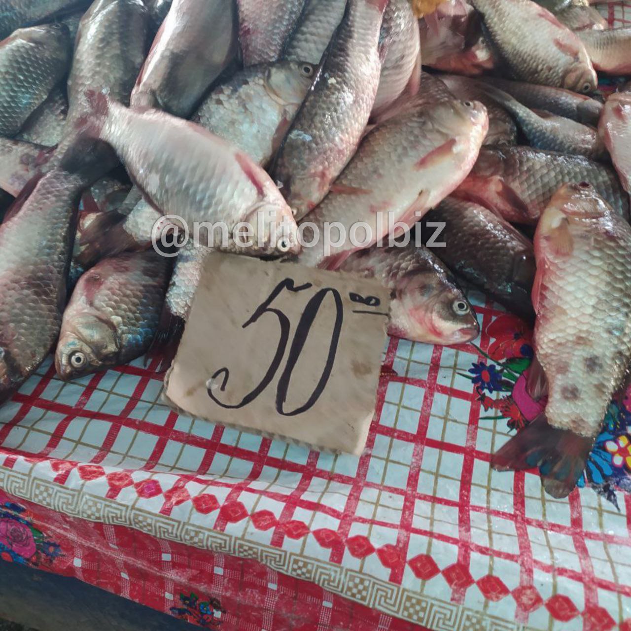 Сколько стоит на рынке в Мелитополе свежая рыба 1