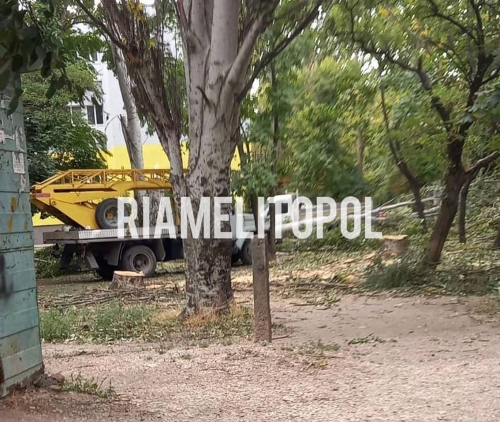 В Мелитополе коллаборанты массово рубят деревья – кто сел на денежные потоки 