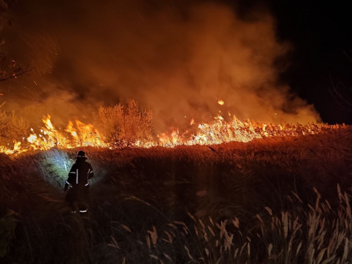 Пожежа в Бердянську