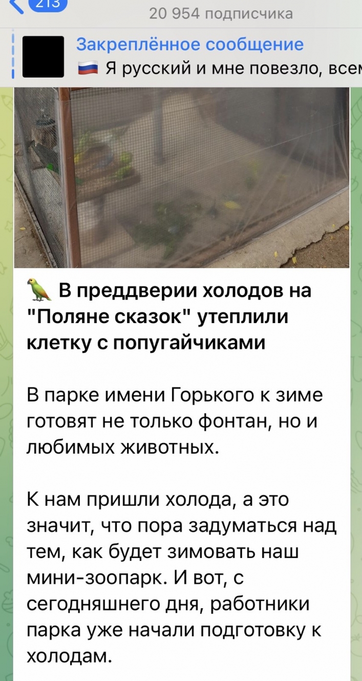Попугаи в шоке - рашисты в Мелитополе начали подготовку к холодам (фото)