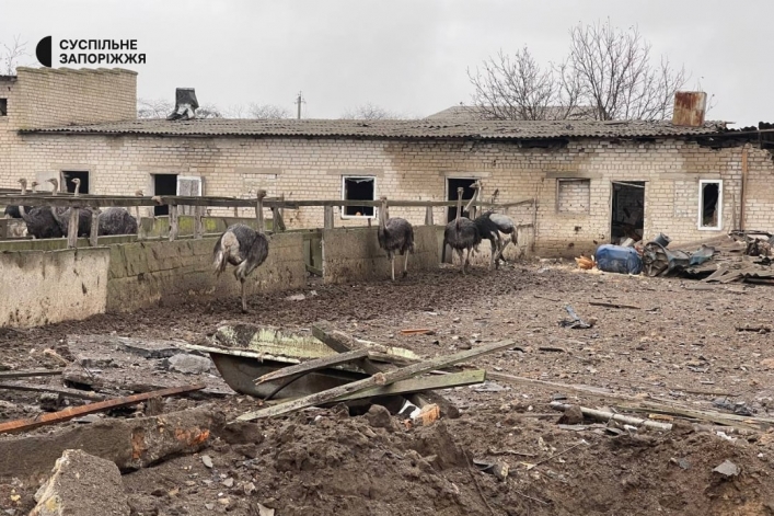 російські окупанти зруйнували ферму під Запоріжжям