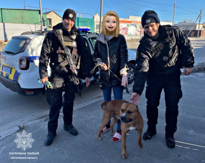 В Запорожье полицейские спасли собачку-путешественника (фото)