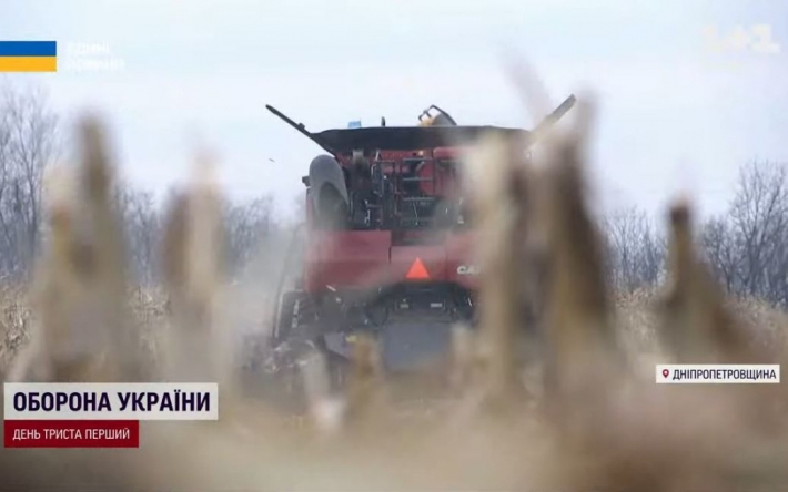 Несобранный урожай и незасеянные озимые: аграрии рассказали, будет ли чем кормить украинцев и мир уже в этом году