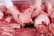 Скільки в окупованому Мелітополі коштує м'ясо (фото)