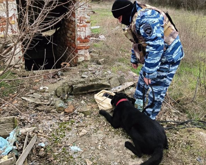 Полицай - друг собаки? В Мелитополе рашисты повышают имидж полицейских с помощью псов (фото)
