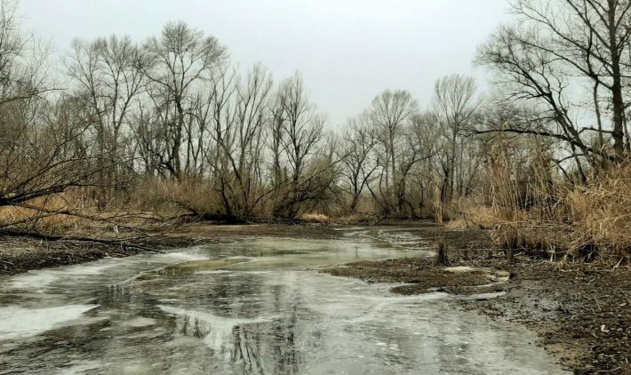 Уровень воды продолжает падать: оккупанты спровоцировали экологическую катастрофу в Запорожской области (фото)