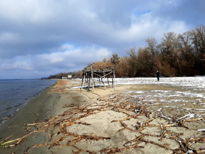 Зниження рівня вода та купи мертвої риби: початок екологічної катастрофи на річці Дніпро