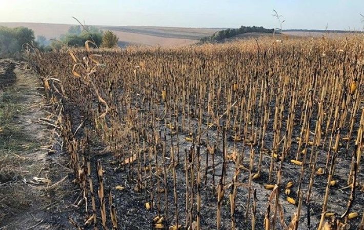 ВАР призывает нардепов защитить мелитопольских аграриев от уголовных преследований после победы