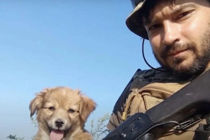 Украинского военного с фронта не пустили в маршрутку с собакой (видео)