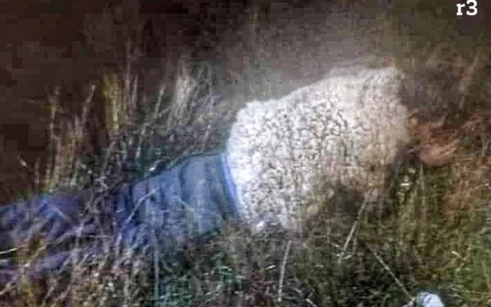Засуджений за убивство намагався втекти з в'язниці під виглядом вівці: фото