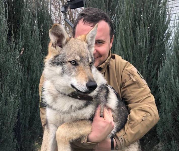 В Мелитополе «министр» культуры подарил своему «коллеге» собаку. Как и Кадырову, ворованную?