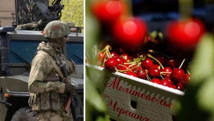 Мелитопольской черешней оккупанты обещают накормить всю россию (фото)