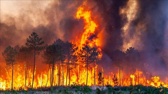 россияне собрались принимать участие в тушении лесных пожаров по Запорожской области (которых нет)(фото)