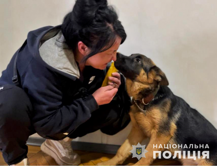 В Запорожье мужчина украл у женщины собаку во время прогулки (фото)