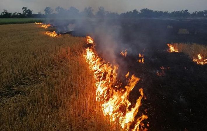 В Украине растет количество пожаров. Спасатели напомнили правила пребывания на природе