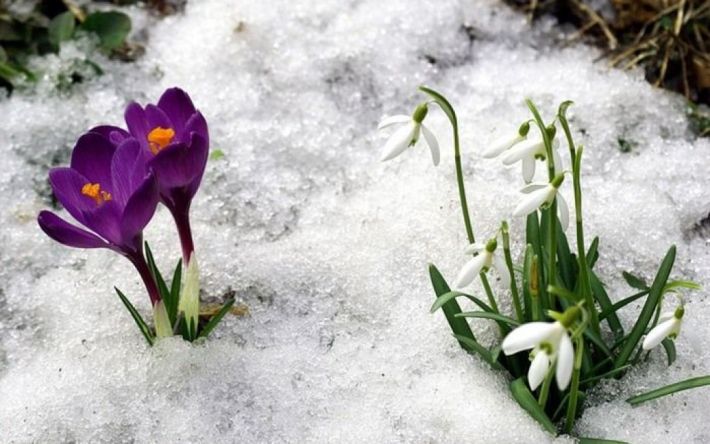 В Украину вернулась зима: 29 марта будут снег, сильный ветер и мороз до -5°