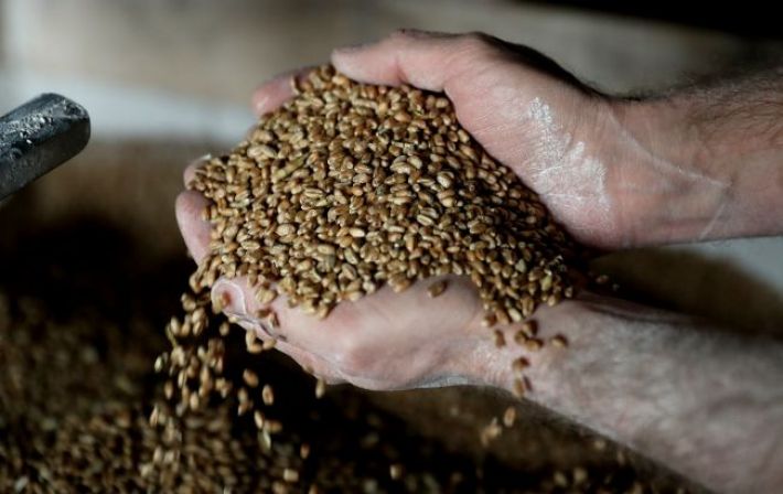 В Польше рассказали, на какой срок приостановили импорт украинского зерна