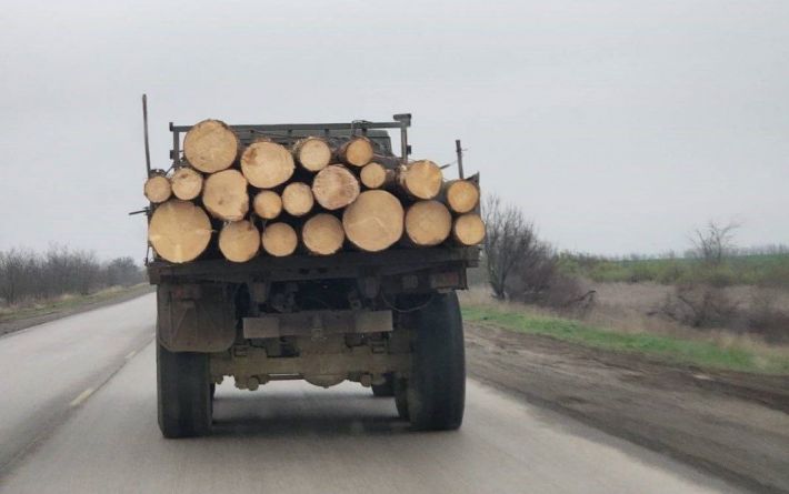 На Мелитопольщине оккупанты массово вырубают лес – строят оборонительные сооружения