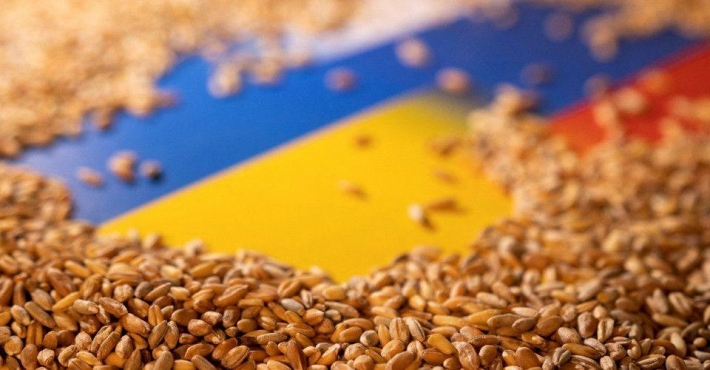 Окупанти знову вивозять крадене зерно з Бердянську