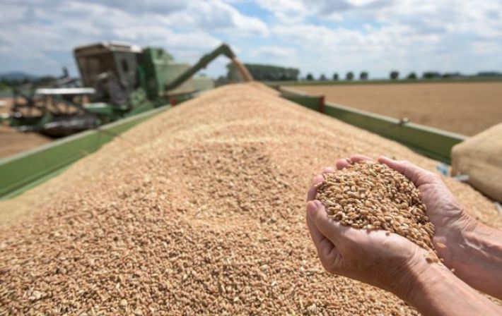 Цены на пшеницу резко выросли на фоне эскалации напряженности в Черном море, - Bloomberg