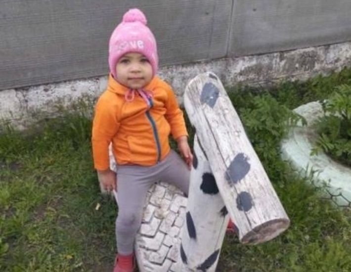 В Харьковской области более 16 часов ищут пропавшую двухлетнюю девочку (фото)